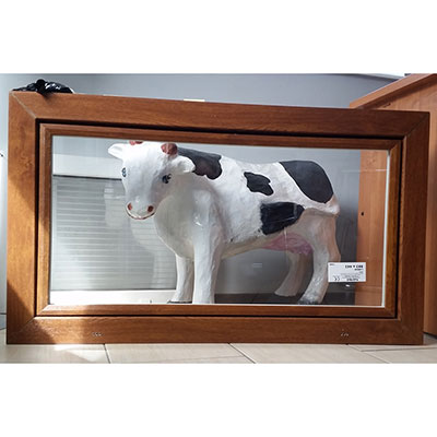 Okná pre hospodárske zvieratá, maštale, ošípané a stajne. Výrobca plastových okien, sietí proti komárom - Poľsko